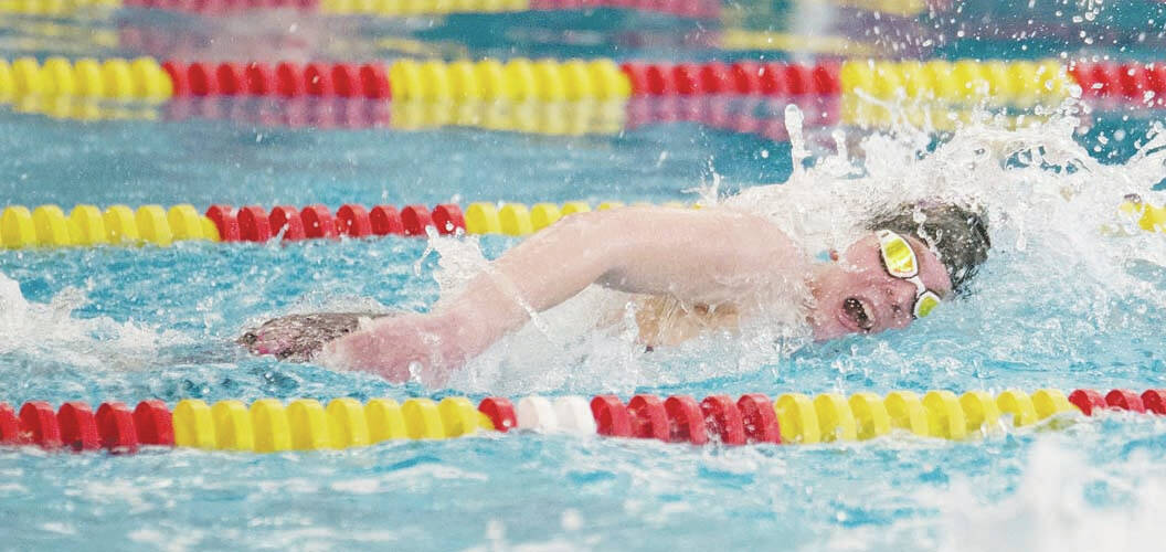 Local Swimmers Qualify For District Meet Urbana Daily Citizen